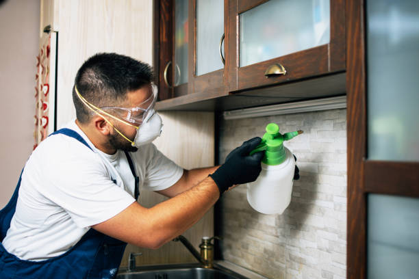 Best Flea Control Services  in Kidron, OH