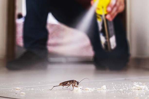 Best Exterminator Services  in Kidron, OH
