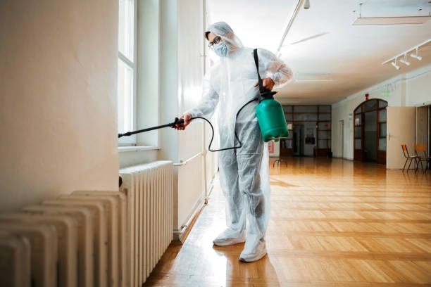 Best Wasp Removal Services  in Kidron, OH