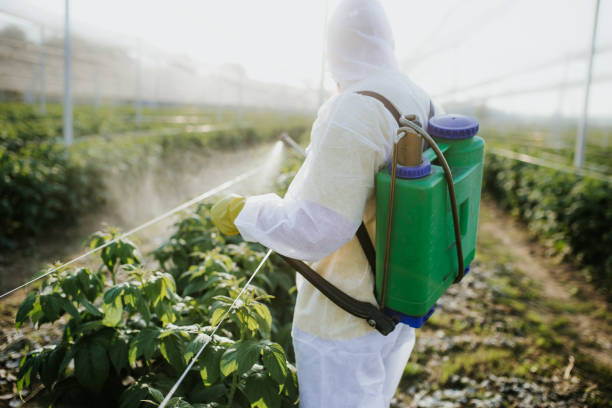 Trusted Kidron, OH Pest Control Experts